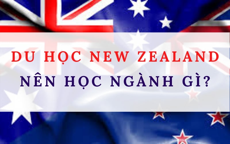 Du học New Zealand nên học ngành gì? 7 ngành bạn nên chọn